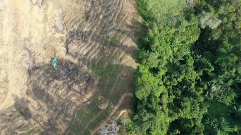 Deforestation Stock Footage 122427825
