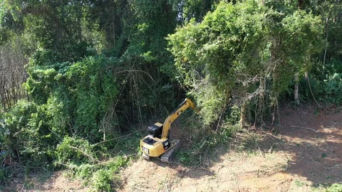 Deforestation Stock Footage 122429423