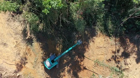 Deforestation Vídeos de archivo 122994837