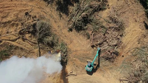 Deforestation Stock Footage 122994975