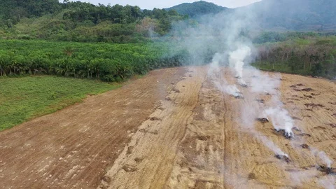 Deforestation Stock Footage 123042081