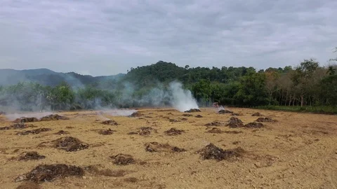 Deforestation Stock Footage 123278258