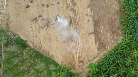 Deforestation Stock Footage 123278271