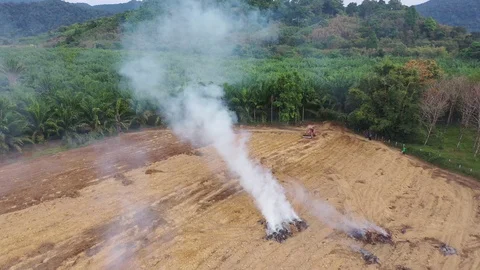 Deforestation Video stock 123824186