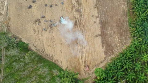 Deforestation Stock Footage 123824235