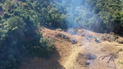 Deforestation Stock Footage 124406043