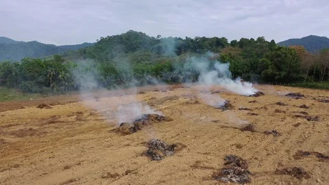 Deforestation Vídeos de archivo 124580978