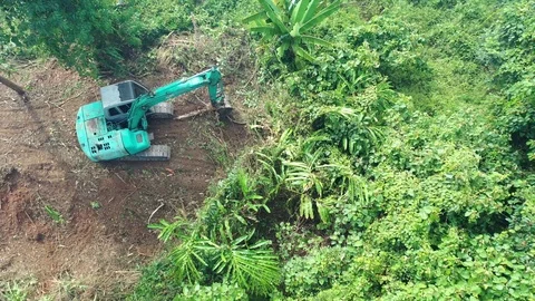 Deforestation Stock Footage 124634259