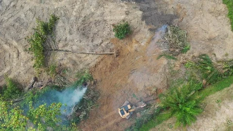 Deforestation Stock Footage 125166973