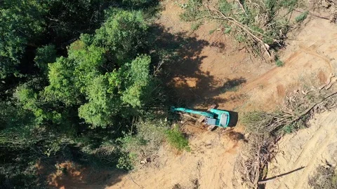 Deforestation Stock Footage 125996464