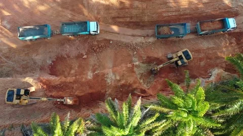 Deforestation Video stock 130354426