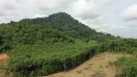 Deforestation Stock Footage 130984729