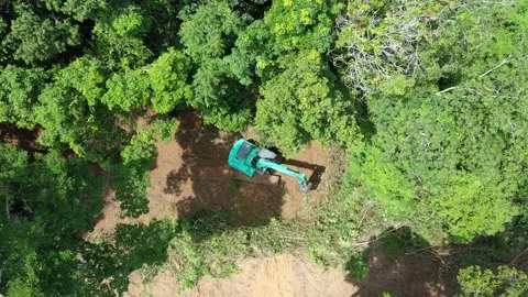 Deforestation Stock Footage 131069508