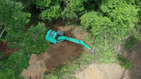 Deforestation Stock Footage 131072155