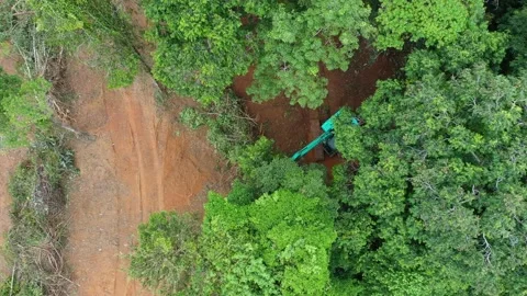 Deforestation Stock Footage 131278703