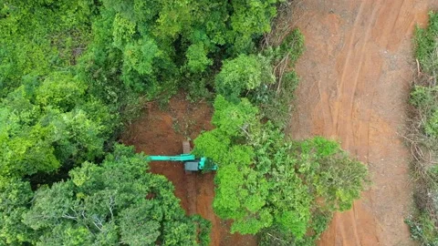 Deforestation Stock Footage 131619603