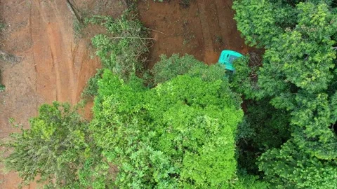 Deforestation Stock Footage 131717704