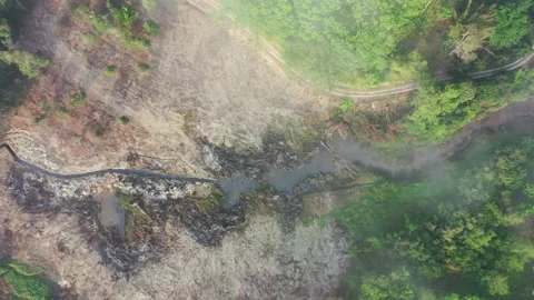 Deforestation Stock Footage 132497078