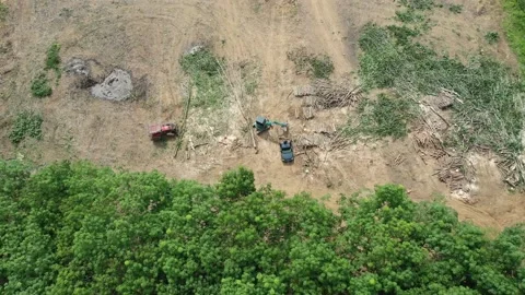 Deforestation Stock Footage 134239845