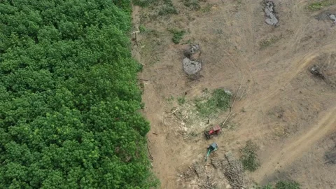 Deforestation Stock Footage 134359695