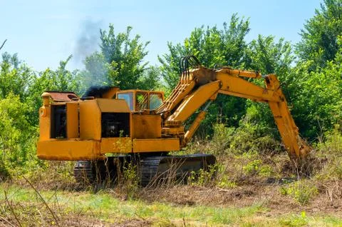 Deforestation of forest Stock Photos