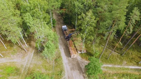 Deforestation. Hydraulic loader forklift loads logs onto trailer. Loading timber Stock Footage 95324232