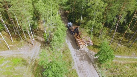 Deforestation. Hydraulic loader forklift loads logs onto trailer. Loading timber Stock Footage 95347369