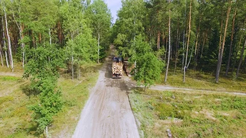 Deforestation. Hydraulic loader forklift loads logs onto trailer. Loading timber Stock Footage 95353185