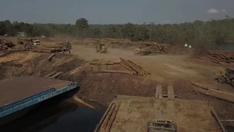 Deforestation by large logging operations in Brazil's Amazon rainforest - Video stock 217368877