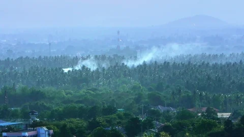 Deforestation. Logging and burning rainforest. Forest fire envrionmental problem Stock Footage 106772002