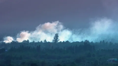 Deforestation. Logging and burning rainforest. Forest fire envrionmental problem Stock Footage 106772423
