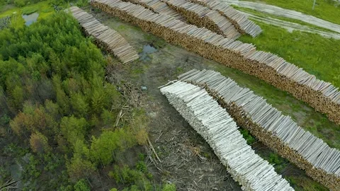 Deforestation, logging, environmental destruction. Aerial view from drone. Stock Footage 134948858