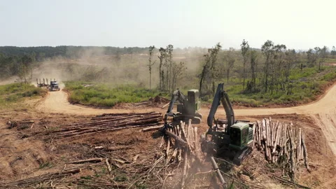 Deforestation Logging Operation Aerial View Stockbeeldmateriaal 248097751
