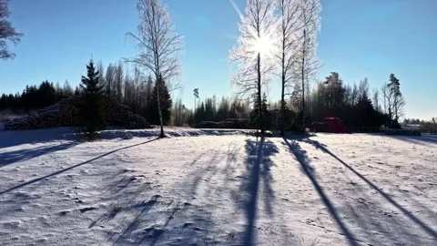 Deforestation logging site storage yard stacks of logs covered in snow winter Stock Footage 333320221