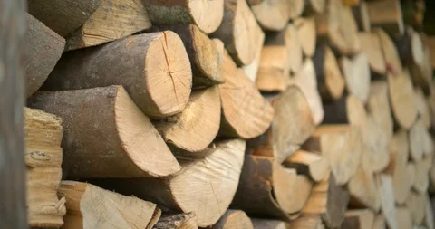 Deforestation Lumber Industry slow motion Video stock 112117089