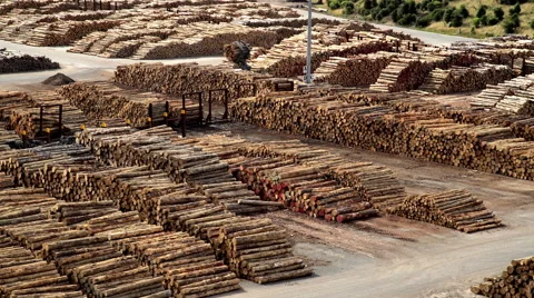Deforestation Lumberyard with Grabber loading timber on Bulk Carrier for Video stock 68080186