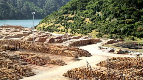 Deforestation Lumberyard with Grabber loading timber on Bulk Carrier for Vídeo Stock 68080284