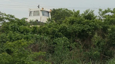 Deforestation machine 4k Stockbeeldmateriaal 71239416