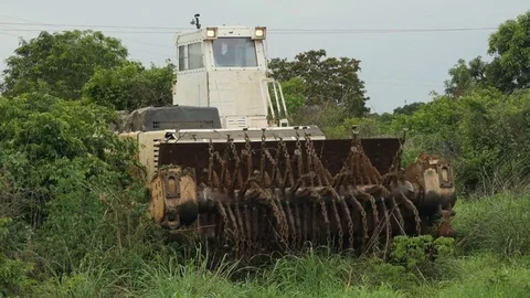 Deforestation machine slow motion Stockbeeldmateriaal 71296726