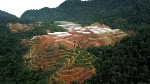 Deforestation, Malaysia Stock Footage 129866736