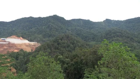 Deforestation, Malaysia Stock-Footage 140553279