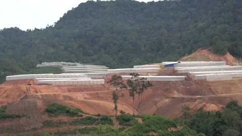 Deforestation, Malaysia Stock Footage 140553280