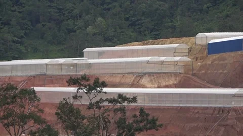 Deforestation, Malaysia Stock Footage 140553299