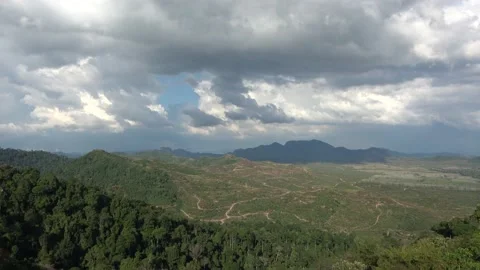 Deforestation, Malaysia Stock-Footage 224400128