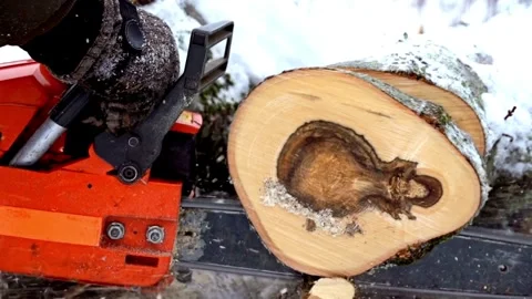 Deforestation, A man saws a sawmill with a chainsaw section of a tree trunk 스톡 동영상 336570475