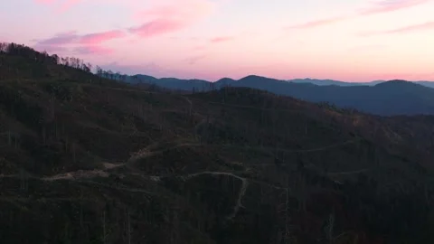 Deforestation in mountains Stock Footage 255098742