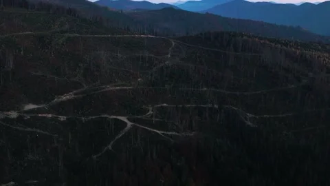 Deforestation in mountains Video stock 255175913