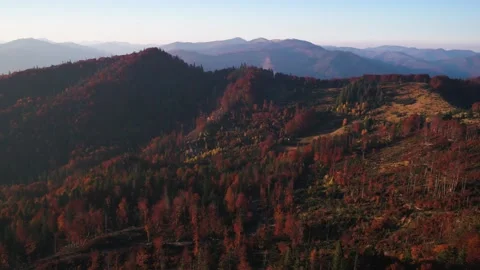 Deforestation in mountains Video stock 255188895