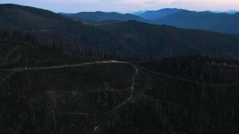 Deforestation in mountains Stock Footage 255800782