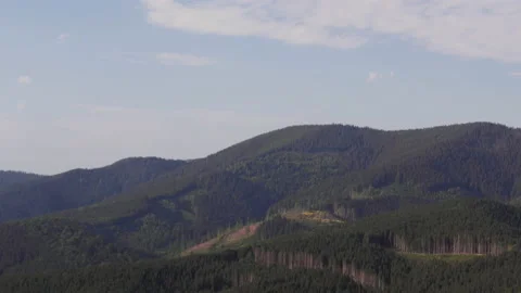 Deforestation. Natural Disaster. Stock Footage 88991837